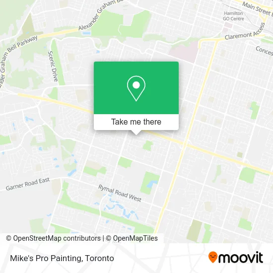 Mike's Pro Painting map
