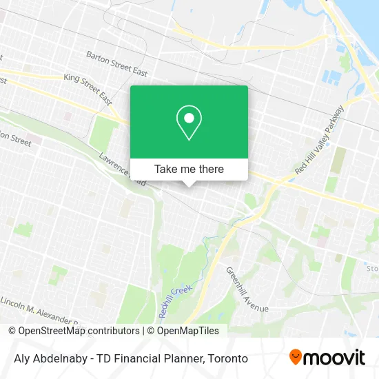Aly Abdelnaby - TD Financial Planner map