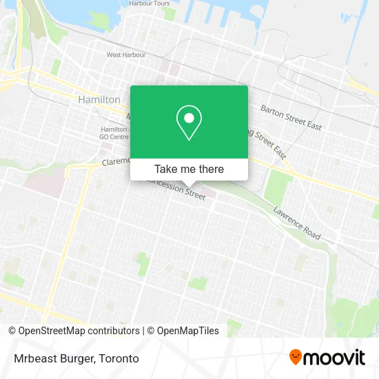 Mrbeast Burger plan