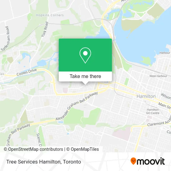 Tree Services Hamilton map