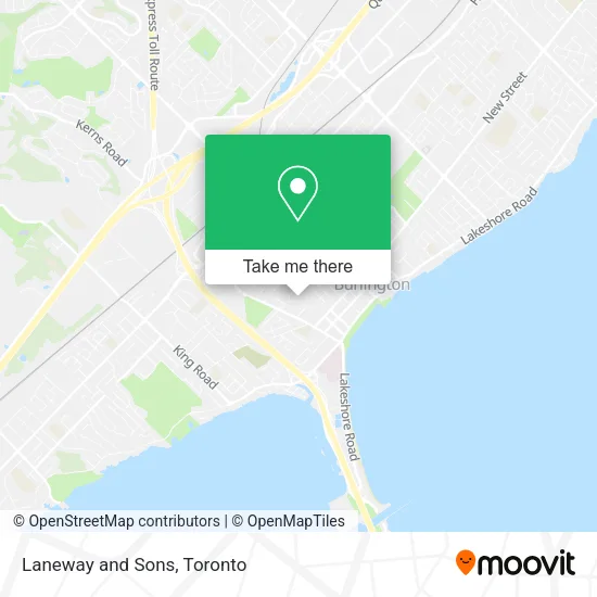Laneway and Sons plan