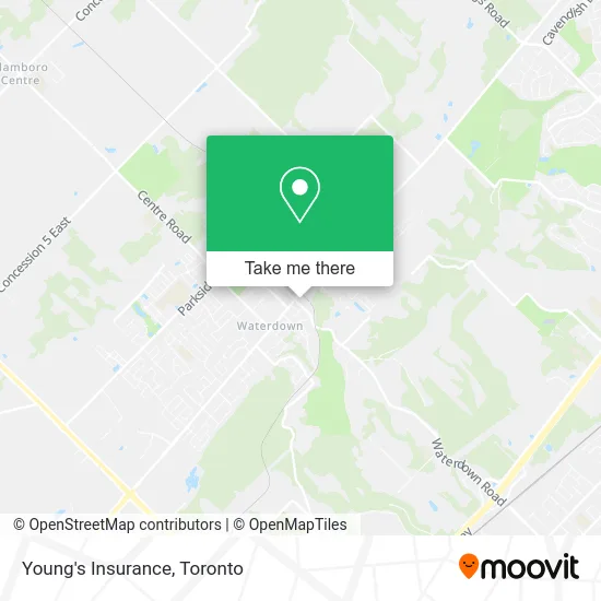 Young's Insurance map