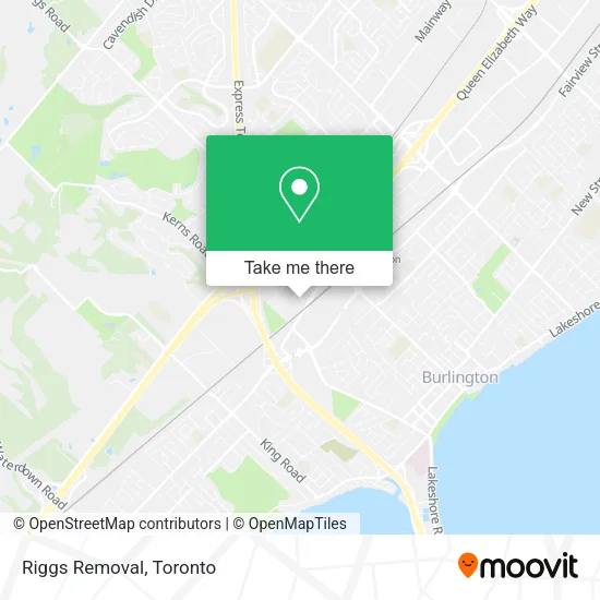 Riggs Removal plan