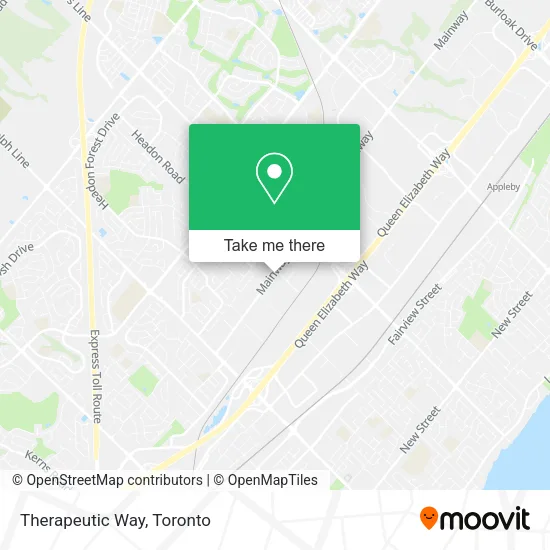 Therapeutic Way map