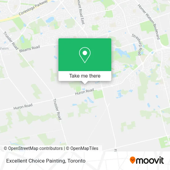 Excellent Choice Painting map