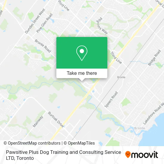 Pawsitive Plus Dog Training and Consulting Service LTD map