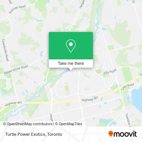 Turtle Power Exotics map