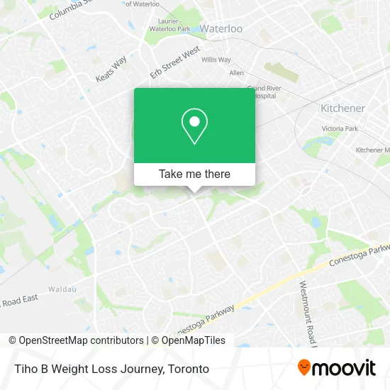 Tiho B Weight Loss Journey map