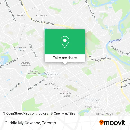 Cuddle My Cavapoo map