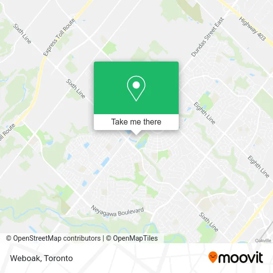 Weboak plan