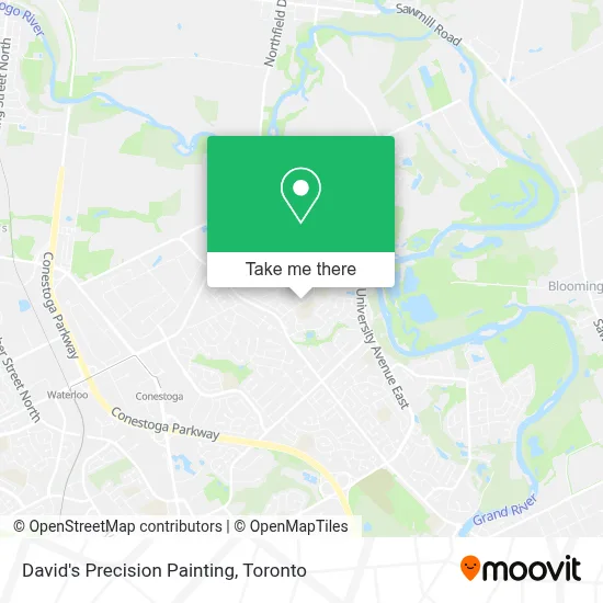 David's Precision Painting map
