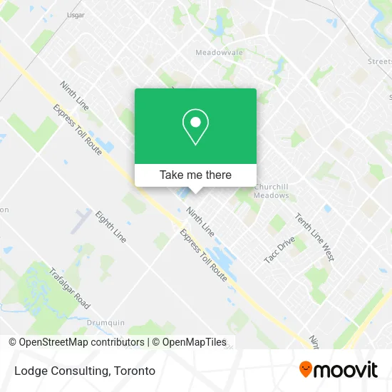 Lodge Consulting plan