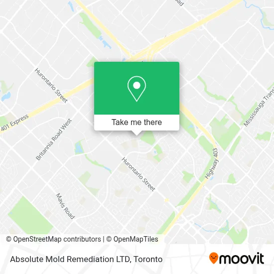 Absolute Mold Remediation LTD map