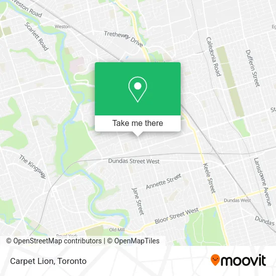 Carpet Lion map