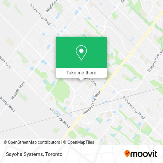 Sayoha Systems map