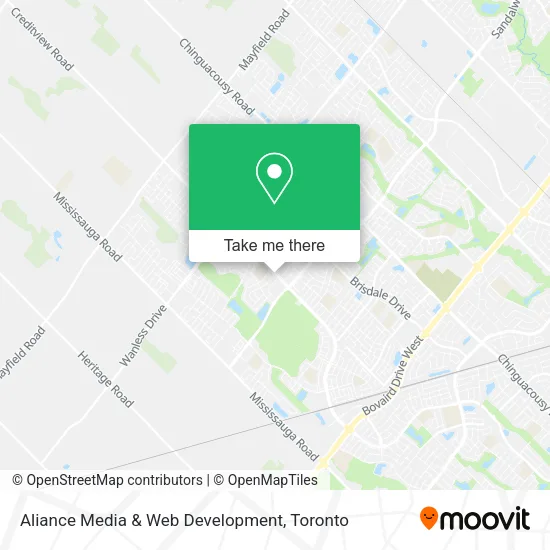 Aliance Media & Web Development plan