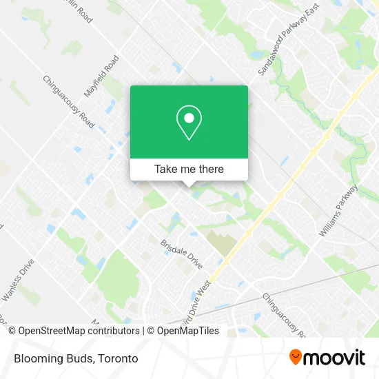 Blooming Buds map