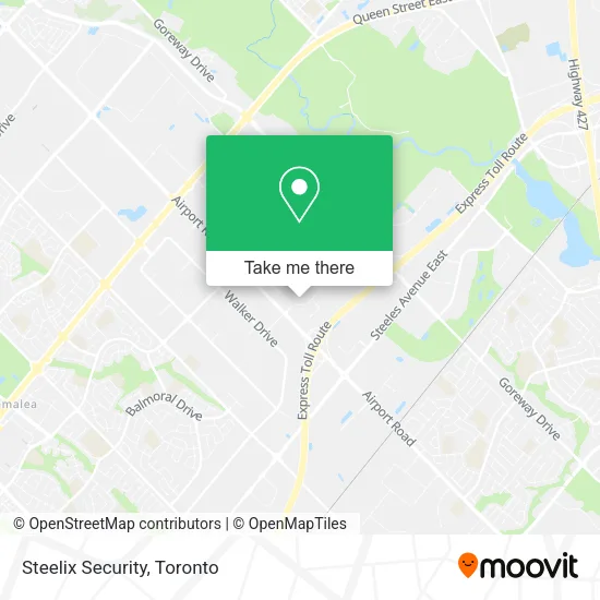 Steelix Security map