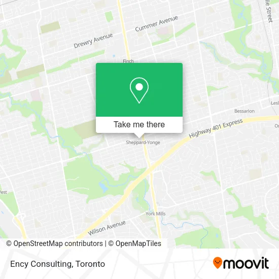 Ency Consulting plan