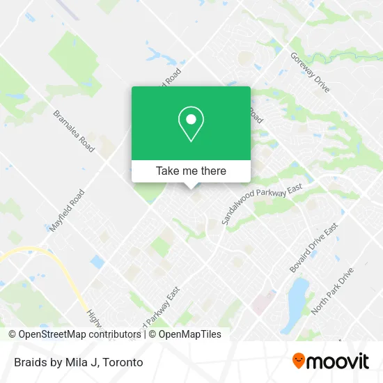 Braids by Mila J map