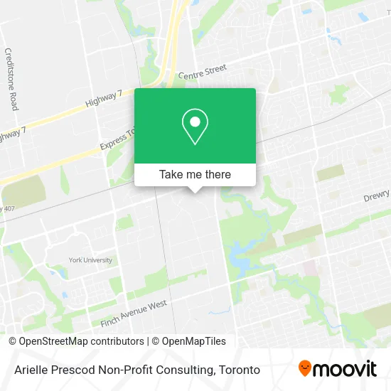 Arielle Prescod Non-Profit Consulting plan