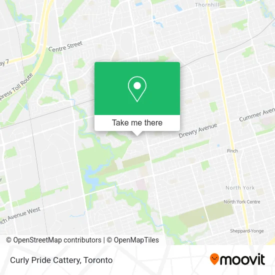 Curly Pride Cattery map
