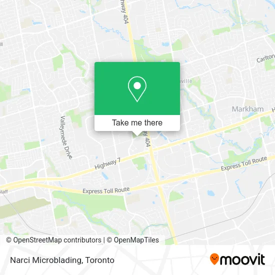Narci Microblading map