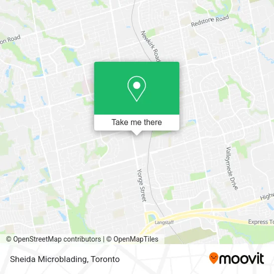 Sheida Microblading map