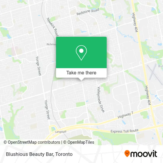 Blushious Beauty Bar plan