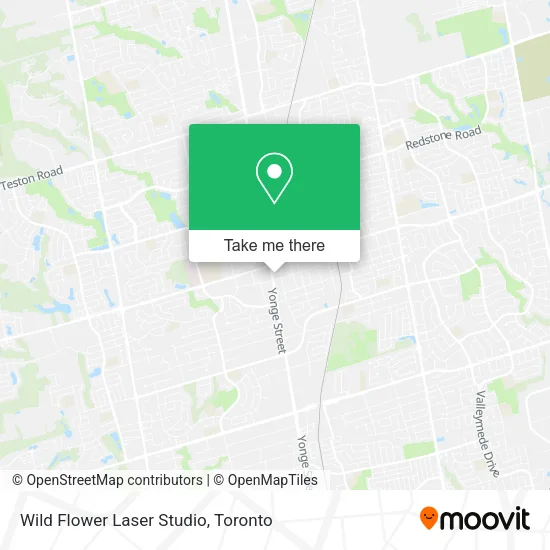 Wild Flower Laser Studio map