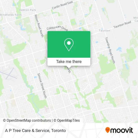 A P Tree Care & Service map