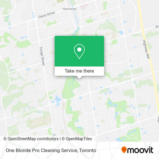 One Blonde Pro Cleaning Service map
