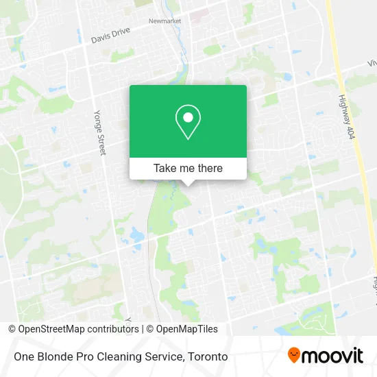 One Blonde Pro Cleaning Service map
