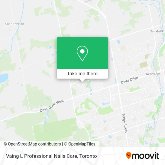 Vaing L Professional Nails Care map