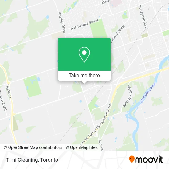 Timi Cleaning plan