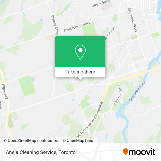 Aneja Cleaning Service map