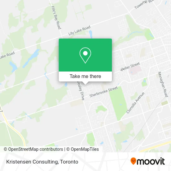 Kristensen Consulting plan