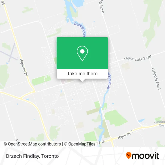 Drzach Findlay map