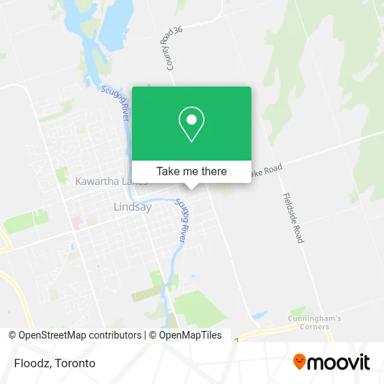Floodz map