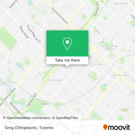 Gmg Chiropractic plan