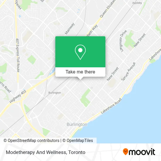 Modetherapy And Wellness plan