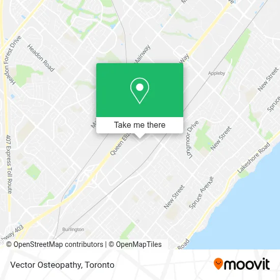 Vector Osteopathy map