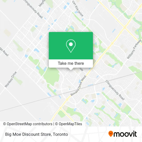 Big Moe Discount Store map