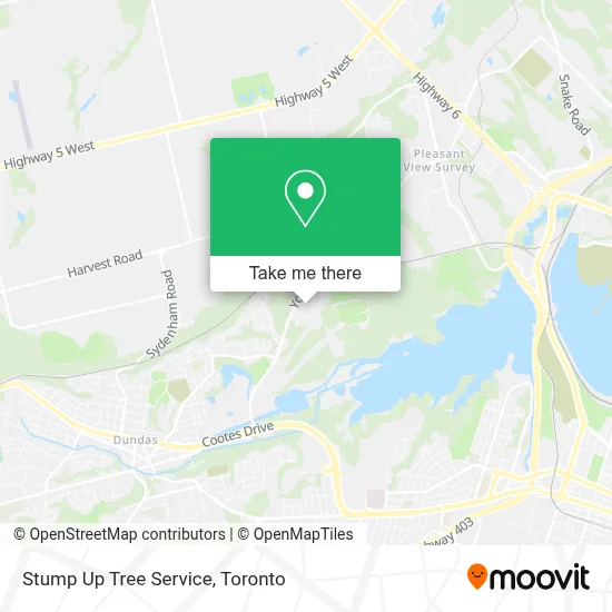 Stump Up Tree Service map