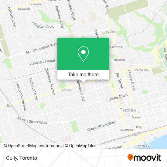 Gully map