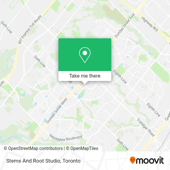 Stems And Root Studio map