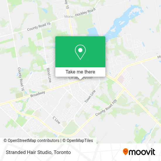 Stranded Hair Studio plan