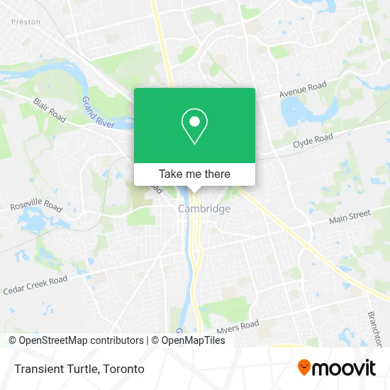 Transient Turtle map