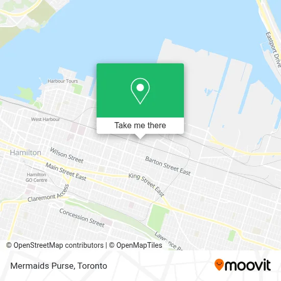 Mermaids Purse map