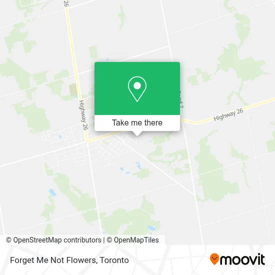 Forget Me Not Flowers map